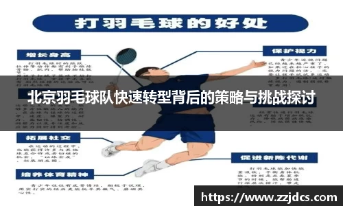 球信网下载