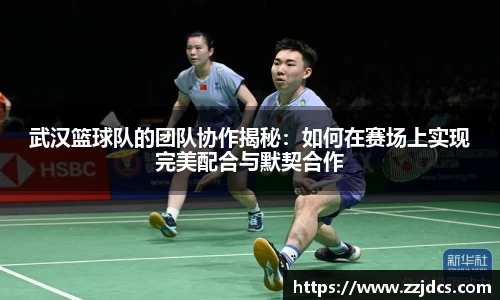 球信网网址