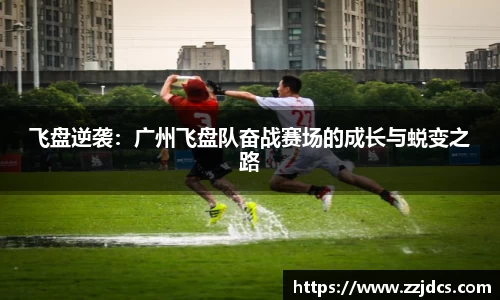 球信网下载