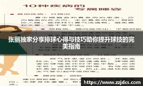 球信网