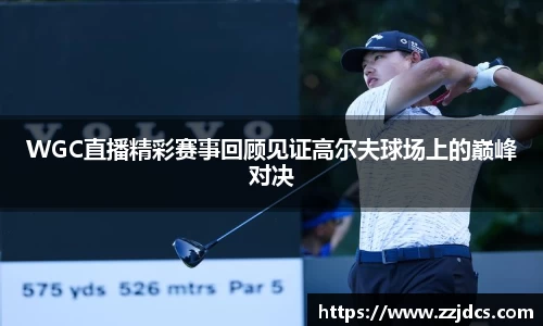 球信网平台