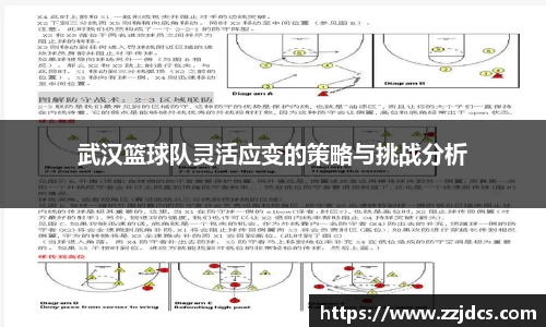 球信网网址