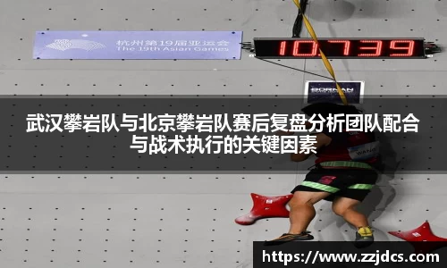 球信网下载
