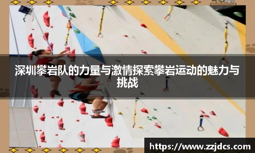 球信网平台