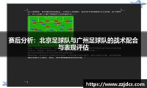 球信网下载
