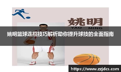 球信网下载