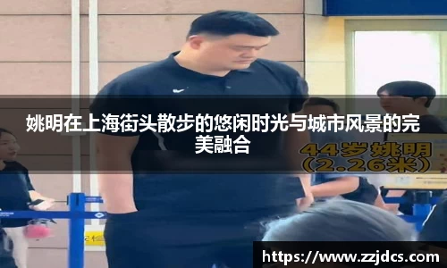 球信网