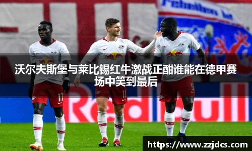 球信网平台