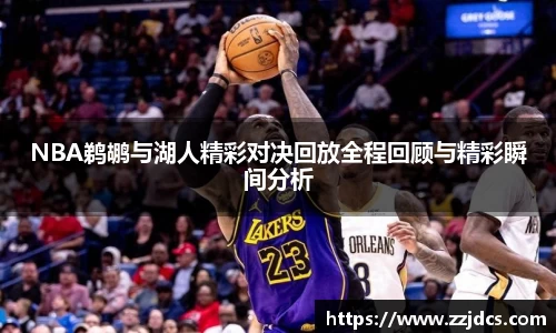 球信网网址