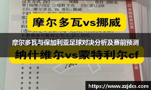 球信网网址