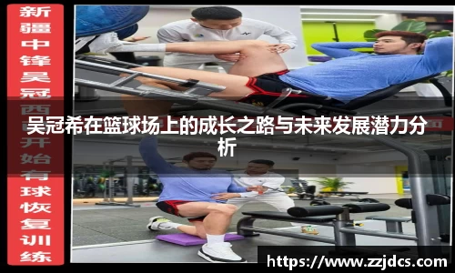 球信网