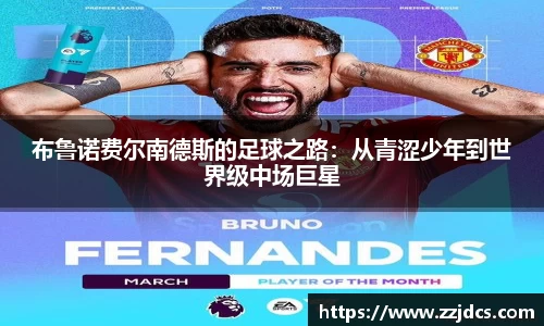 球信网
