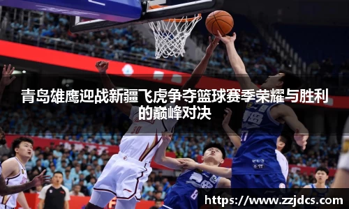 球信网下载