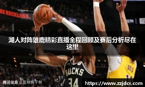 球信网平台