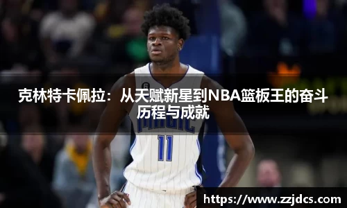 球信网平台
