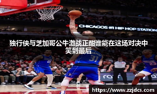 球信网